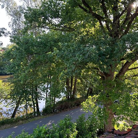 Villa Am See Bad Sachsa Kültér fotó